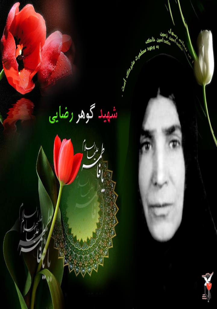 فاقد تصویر